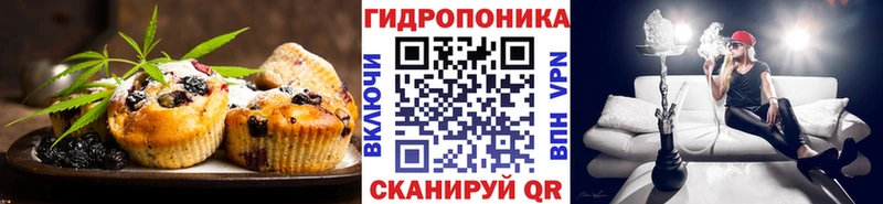 сколько стоит blacksprut Cannafood марихуана Кольчугино