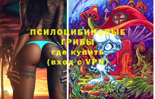 гидропоника Алексеевка