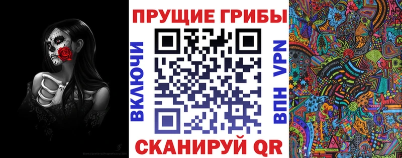 Псилоцибиновые грибы Psilocybe  сколько стоит  Кольчугино 