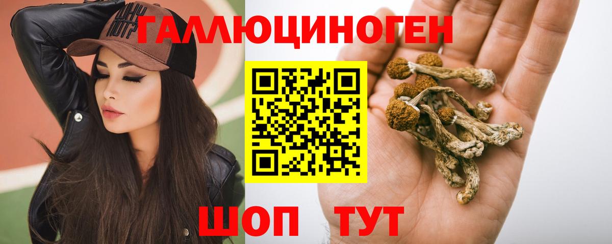 Галлюциногенные грибы Psilocybine cubensis Кольчугино