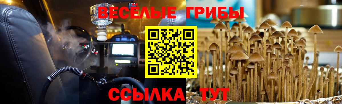 Галлюциногенные грибы ЛСД  Вход с VPN  Кольчугино  Галлюциногенные грибы Psilocybine cubensis 